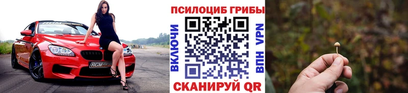 блэк спрут ссылка  Новокузнецк  Галлюциногенные грибы GOLDEN TEACHER 